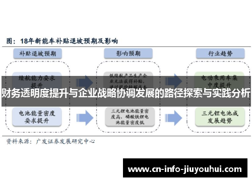 财务透明度提升与企业战略协调发展的路径探索与实践分析